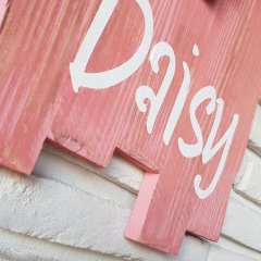 Papatyam Duvar Süsü