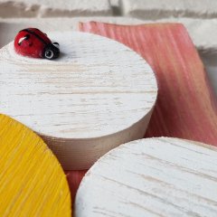 Papatyam Duvar Süsü