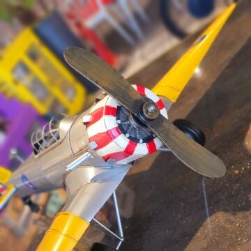 Dekoratif Metal Jumbo Boy Uçak