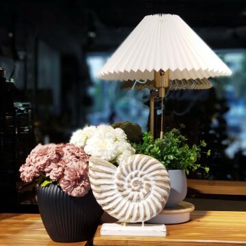 Dekoratif Ahşap İstiridye Kabuğu Büyük Boy