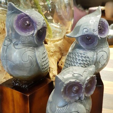 Gri Üçlü Baykus Aile