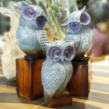 Gri Üçlü Baykus Aile