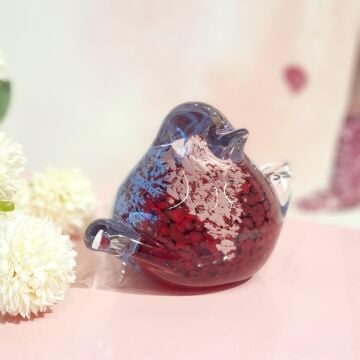 Mini Cam Kuş Tekli Bordo-Mavi
