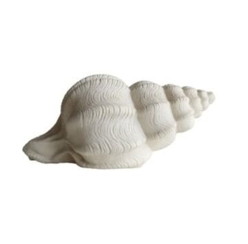 Deniz Kabuğu Model Dekoratif Aydınlatma 43x19cm