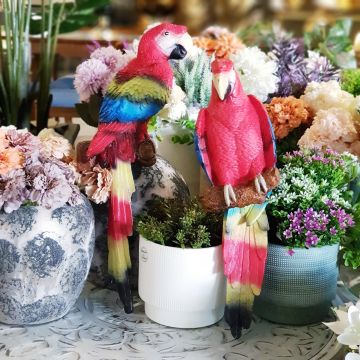 Papağanlar İkili Duvar Dekoru