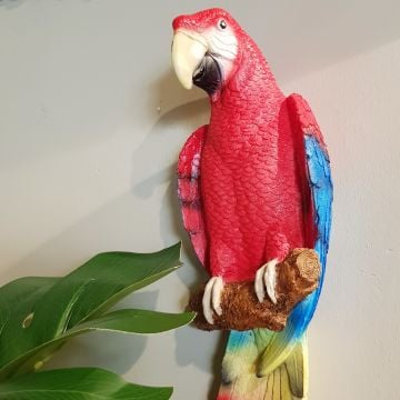 Papağanlar İkili Duvar Dekoru