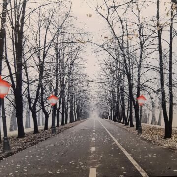 Ağaçlı Yol 60cmX120cm Led Işıklı Tablo