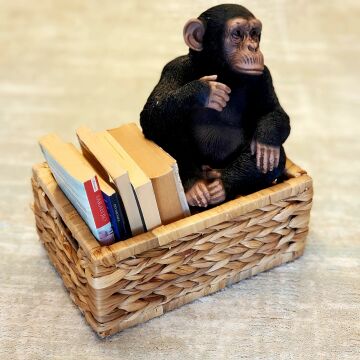 Su Sümbülü Dikdörtgen Sele Küçük Boy