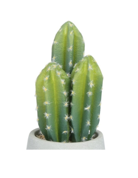 3'Lü Yapay Kaktüs