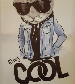 60cmX90cm Gümüş Çerçeveli Cool Kedi Tablo