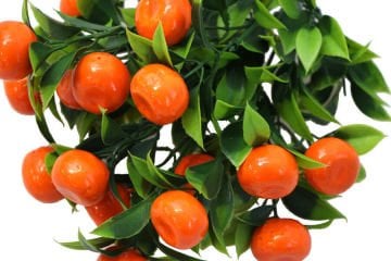 Yapay Çiçek Mandalina Demeti