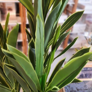 Dört Gövdeli Saksılı Yapay Mısır Büyük Boy