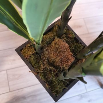 Dört Gövdeli Saksılı Yapay Mısır Büyük Boy