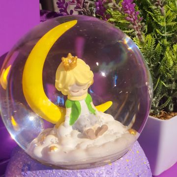 Kar Küresi Küçük Prens Mor