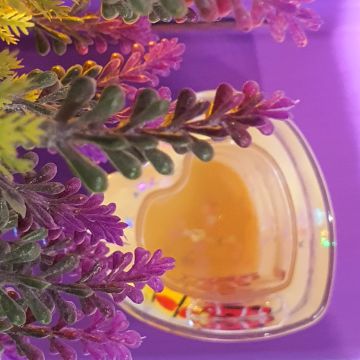 Sulu Kalp Model Kalemlik Sarı