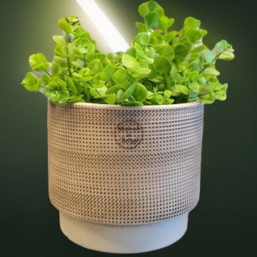 Waffle Seramik Vazo Bej Orta Boy 15cm