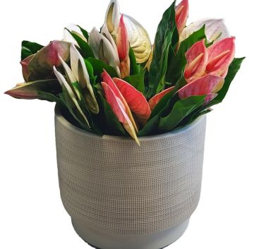 Waffle Seramik Vazo Bej Jumbo Boy 26cm