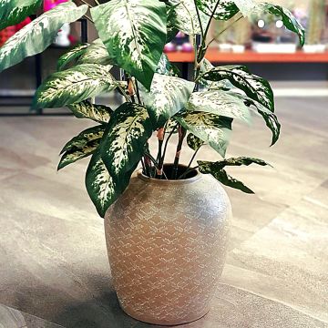 Branche Seramik Vazo Jumbo Boy