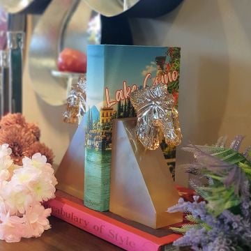 Amber At Frosted Cam Kitap Tutucu