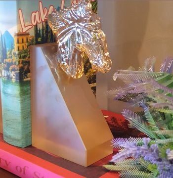 Amber At Frosted Cam Kitap Tutucu