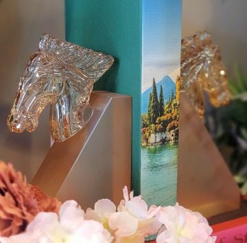 Amber At Frosted Cam Kitap Tutucu