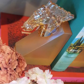 Amber At Frosted Cam Kitap Tutucu