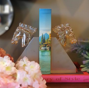 Amber At Frosted Cam Kitap Tutucu