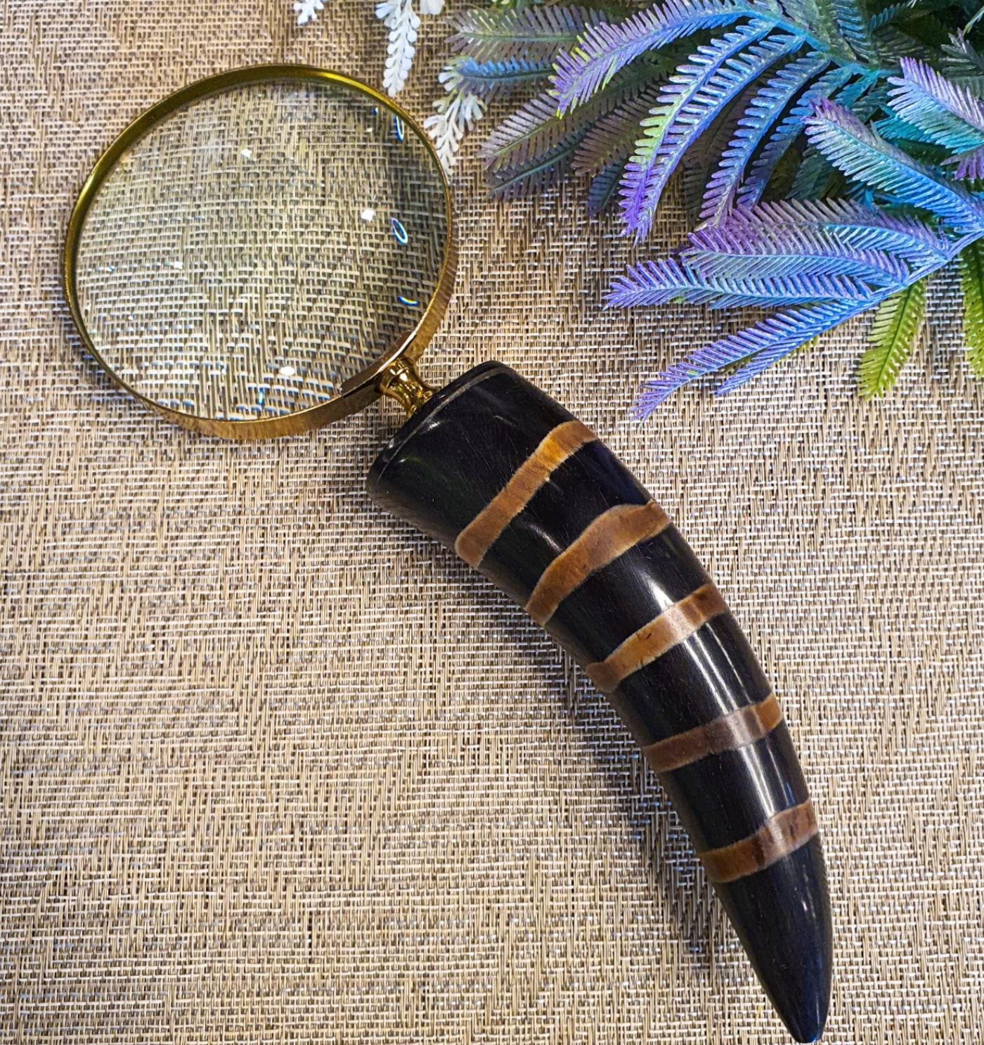 Horn Büyüteç 30cm