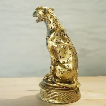 Jaguar Gold Biblo Küçük Boy