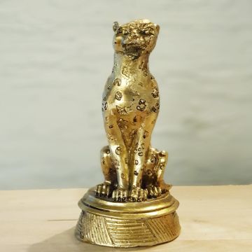 Jaguar Gold Biblo Küçük Boy