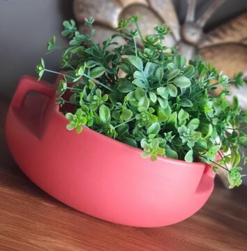 Handle Kırmızı Dekoratif Kase