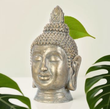 Buddha Büst 41cm