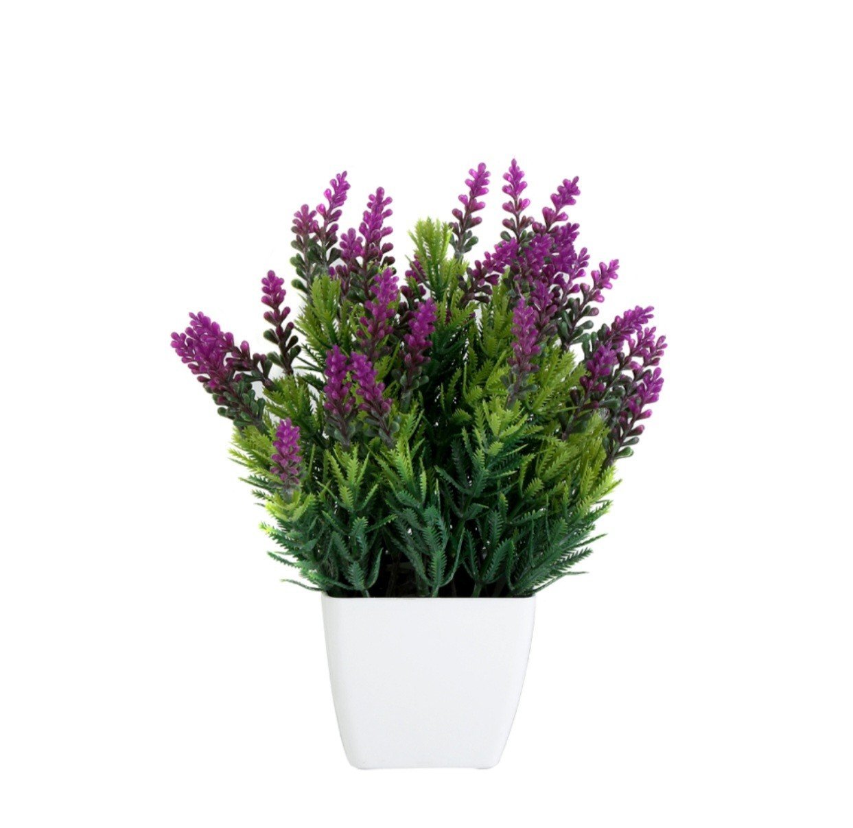 Saksıda Mini Lavanta 20cm