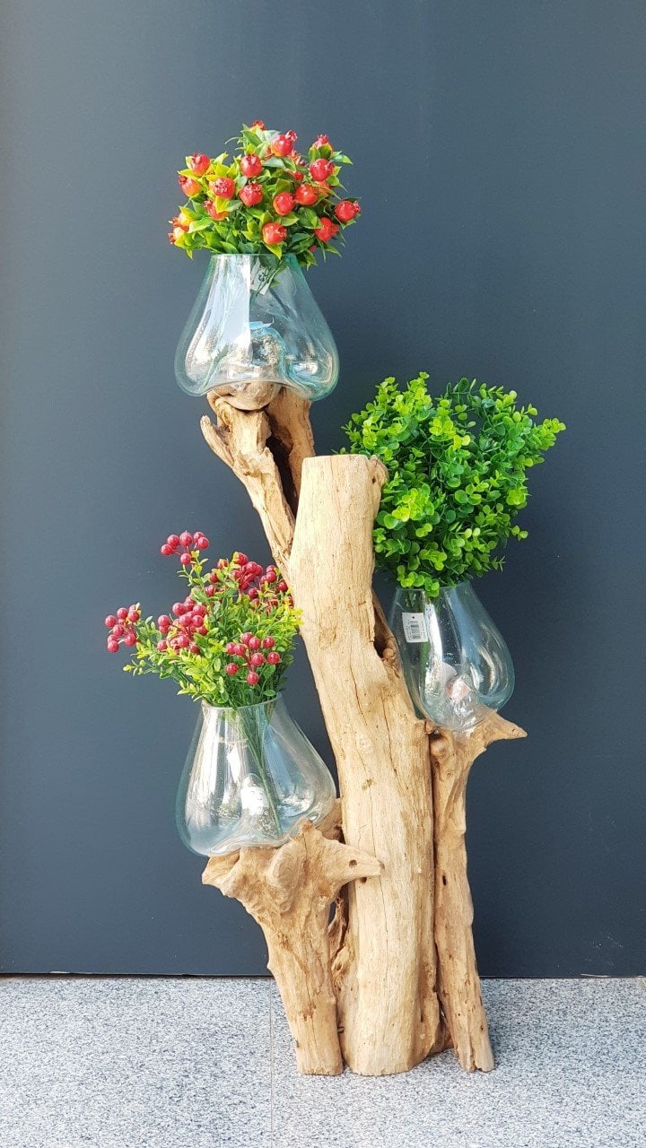 Teak Ağacı Cam Fanus